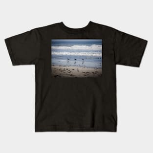 California Beach Birds Chilling on the Sunny Beach Photo V1 Kids T-Shirt